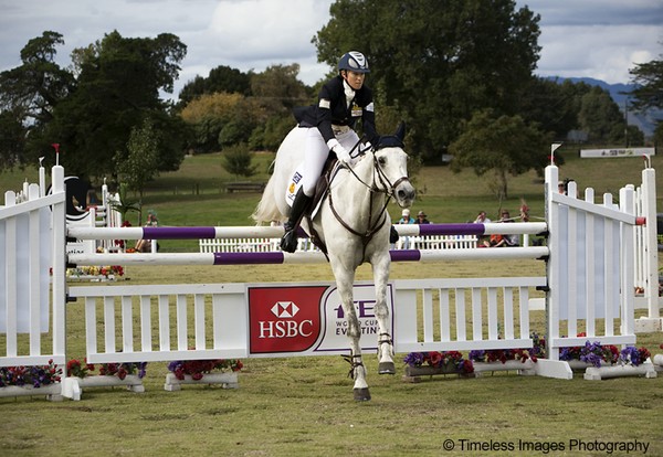 Megan Jones and Kirby Park Irish Jester show jumping at Kihikihi, New Zealand